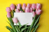 Krásné růžové jarní tulipány a prázdné karty na žlutém pozadí