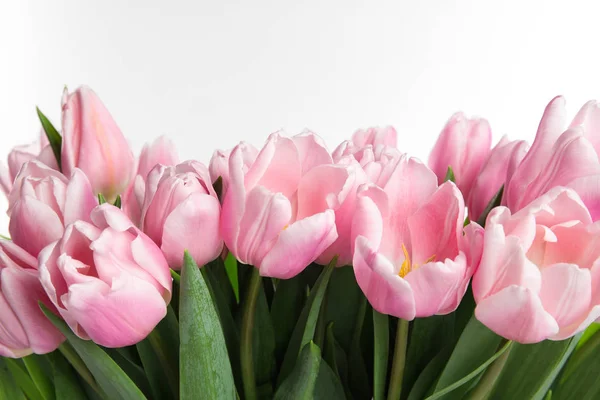 Красивые розовые тюльпаны весной на белом фоне, крупный план — стоковое фото