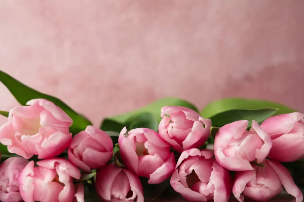 Gyönyörű tavaszi tulipán világos rózsaszín háttér, közelkép. Világűr — Stock Fotó