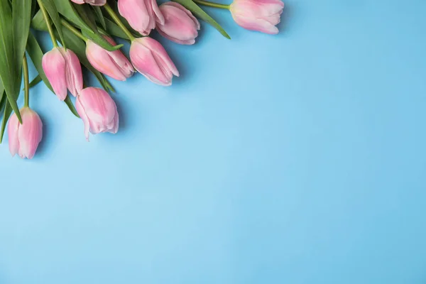 Mooie roze lente tulpen op lichtblauwe achtergrond, platte lay. — Stockfoto