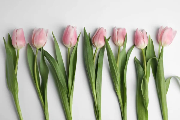 Mooie roze lente tulpen op witte achtergrond, bovenaanzicht — Stockfoto