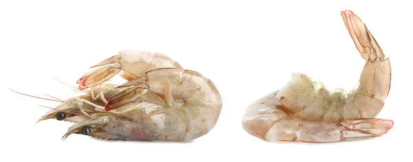 Φρέσκια ακατέργαστη γαρίδα απομονωμένη σε λευκό. Υγιή θαλασσινά — Φωτογραφία Αρχείου