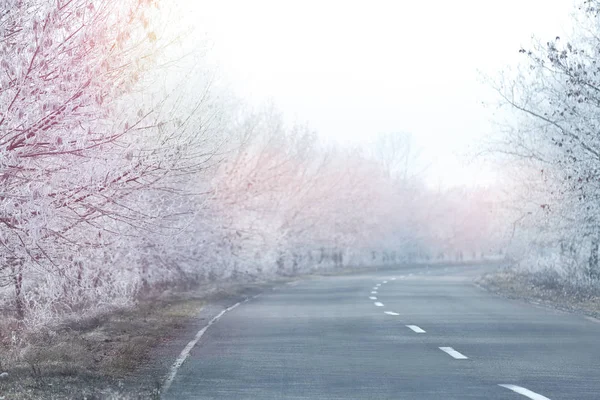 Empty road between trees covered with hoarfrost at rural site in — Stock Photo, Image