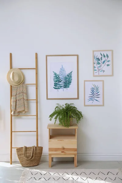 Schöne Bilder und Pflanzen zu Hause. Idee für den Innenausbau — Stockfoto