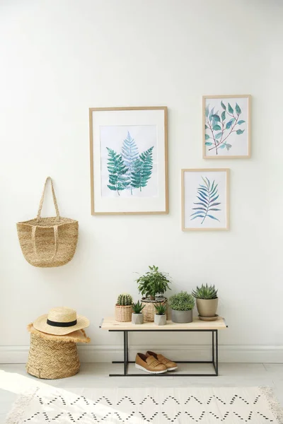 Belles peintures et plantes à la maison. Idée de design d'intérieur — Photo
