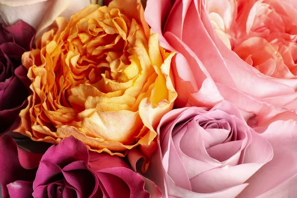 Beautiful Fresh Roses Background Closeup View Floral Decor — 스톡 사진