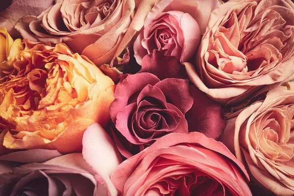 Beautiful Bouquet Closeup Floral Card Design Dark Vintage Effect — 스톡 사진