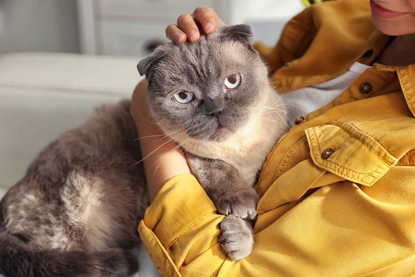 Young Woman Cute Cat Home Closeup Fluffy Pet — Stock Photo, Image