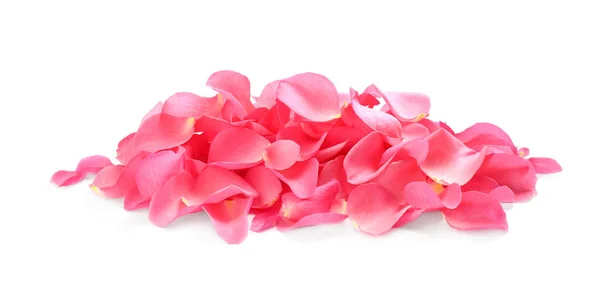 Купка свіжих рожевих пелюсток троянд на білому тлі — стокове фото