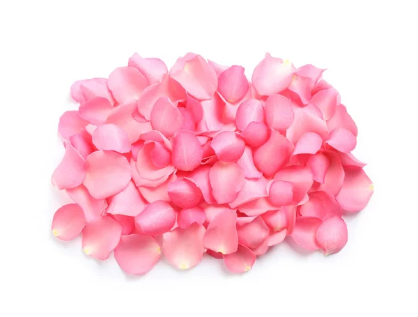 Pilha de pétalas de rosa fresca no fundo branco — Fotografia de Stock
