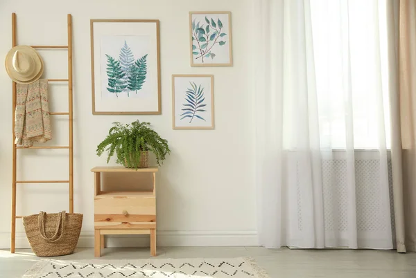 Belles peintures et plantes à la maison. Idée de design d'intérieur — Photo