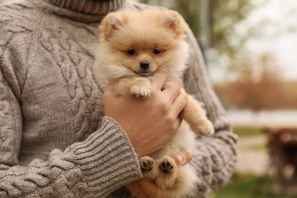 秋の日に屋外で小さなふわふわの犬を持つ男 クローズアップ — ストック写真