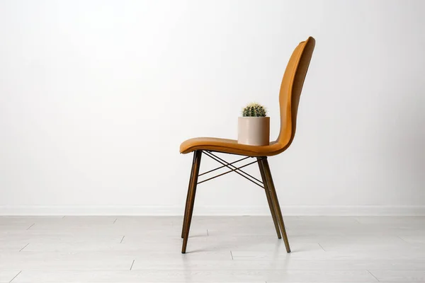 Chair Cactus White Wall Hemorrhoids Concept — 스톡 사진