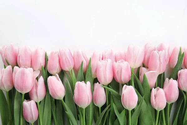 Różowe Tulipany Wiosna Piękne Białym Tle — Zdjęcie stockowe