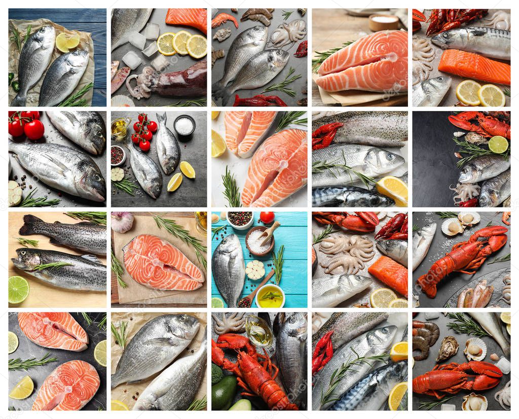Collage with various fresh fishes and seafood