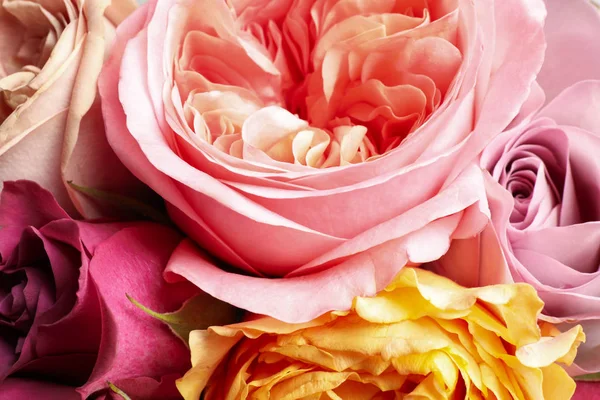 Beautiful Fresh Roses Background Closeup View Floral Decor — 스톡 사진