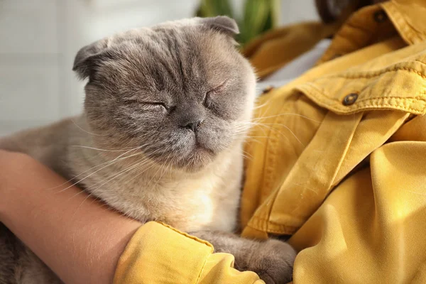 Jonge Vrouw Met Leuke Kat Thuis Close Pluizig Huisdier — Stockfoto