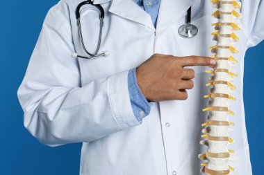 Mavi arka planda insan omurgası modeli olan erkek ortopedist, yakın plan