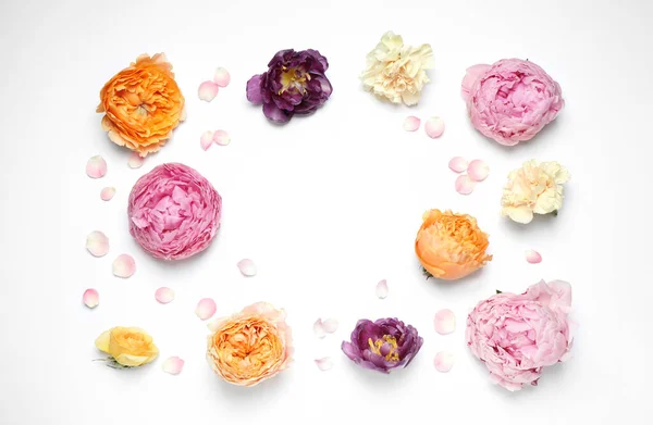 Каркас Красивих Квітів Білому Тлі Плоский Простір Тексту Квіткова Композиція — стокове фото