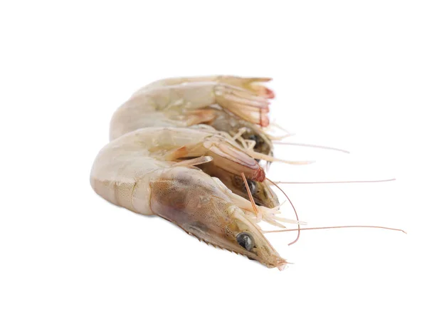白で隔離された新鮮な生エビ。健康的な魚介類 — ストック写真