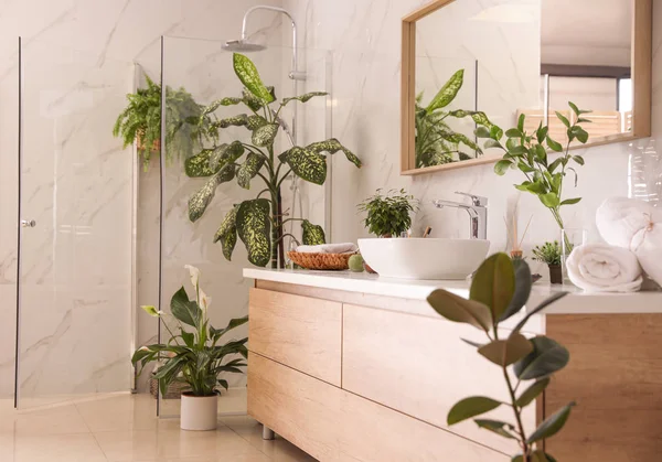 Schöne grüne Pflanzen im eleganten modernen Badezimmer. Innenausbau — Stockfoto