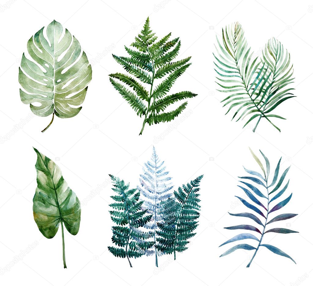 Beautiful watercolor tropical leaves painted on white paper