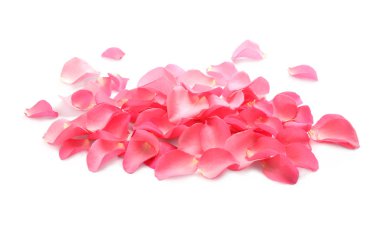 Pile of fresh pink rose petals on white background clipart