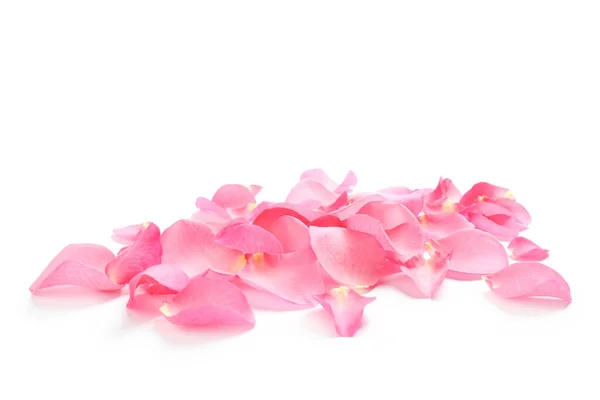 Свіжі рожеві пелюстки троянд на білому тлі — стокове фото