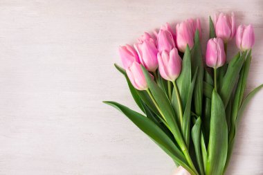 Beyaz ahşap arka planda güzel pembe bahar laleleri.