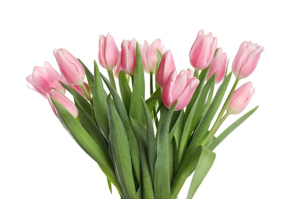 Schöne rosa Frühlingstulpen auf weißem Hintergrund — Stockfoto