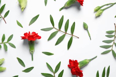 Beyaz arka planda güzel çiçekli kompozisyon, üst manzara. Çiçek kart tasarımı