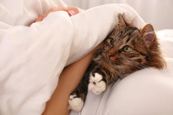 Frau mit ihrer süßen Katze auf dem Bett, Nahaufnahme. flauschiges Haustier — Stockfoto