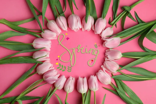 Beautiful spring tulips on pink background, flat lay. Space for — 스톡 사진
