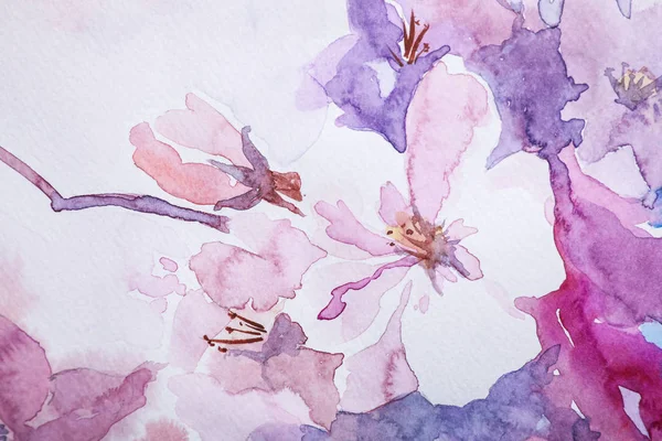 Close Uitzicht Prachtige Bloemen Aquarel Schilderen — Stockfoto