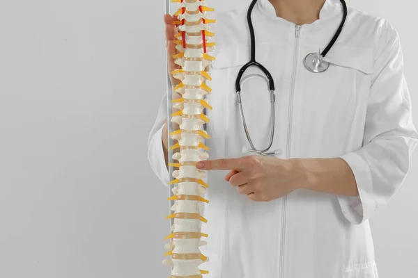 女性の整形外科医と軽い背景を持つ人間の脊椎モデル クローズアップ — ストック写真