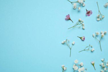 Floral composition with beautiful flowers on light blue background, flat lay. Space for text