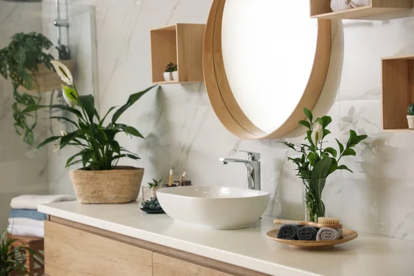 Schöne Grüne Pflanzen Der Nähe Von Gefäßwaschbecken Auf Arbeitsplatte Badezimmer — Stockfoto