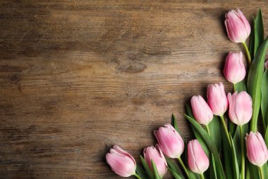 Ahşap zemin üzerinde güzel pembe bahar laleleri, düz yatış. Spa