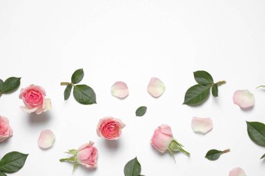 Beyaz arka planda güzel çiçekli kompozisyon, üst manzara. Çiçek kart tasarımı