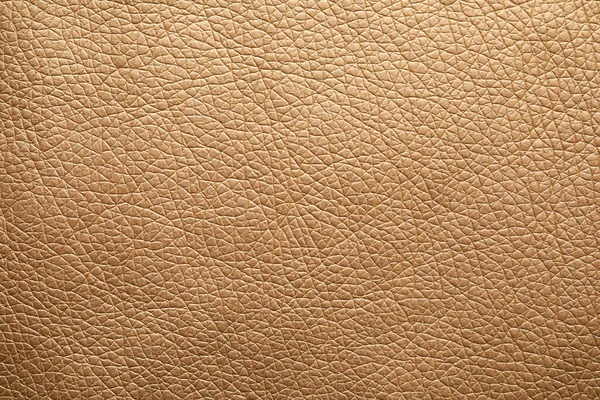 Texture Beige Leather Background Closeup — 스톡 사진