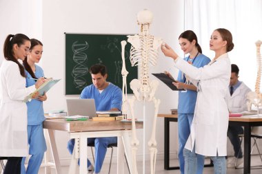 Tıp öğrencileri sınıfta insan iskeleti anatomisi okuyor.