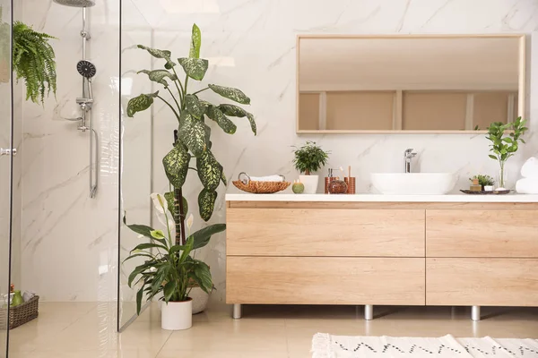 Interior do banheiro moderno com plantas verdes — Fotografia de Stock