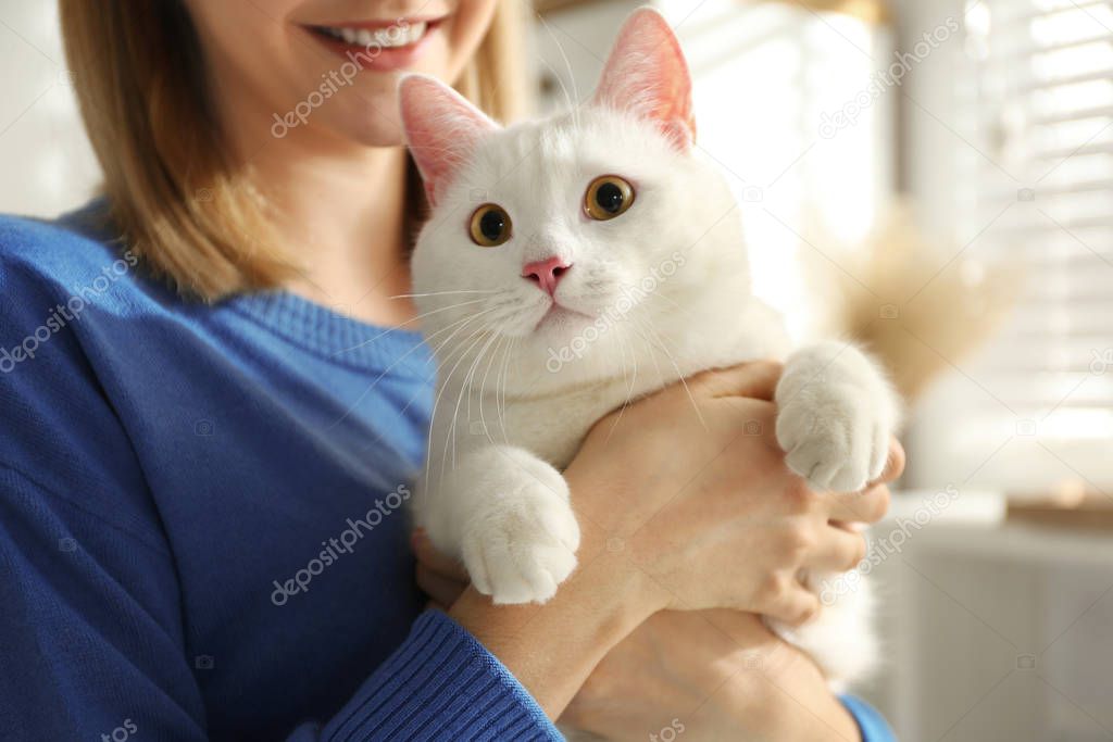 Young woman with her beautiful white cat at home, closeup. Fluff