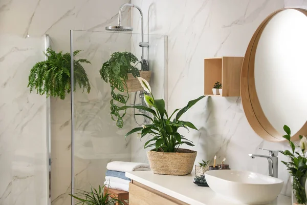 绿色植物在雅致的现代浴室 室内设计 — 图库照片