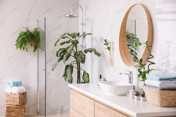 Krásné zelené rostliny v blízkosti nádoby dřez na pultu v koupelně — Stock fotografie