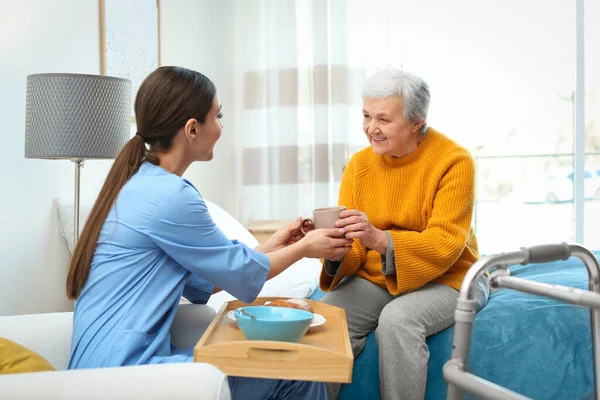 Cuidador sirviendo cena para anciana en geriatría hospic —  Fotos de Stock