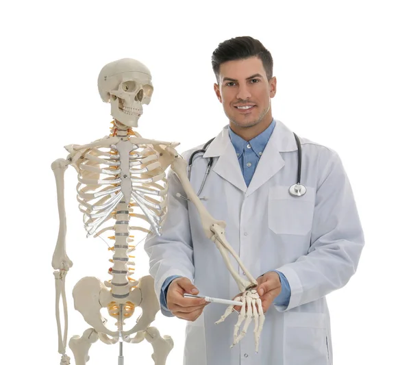 Ortopedista masculino con modelo de esqueleto humano sobre fondo blanco — Foto de Stock