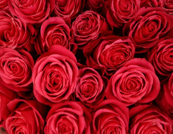 Schöner Strauß frischer Rosen, von oben gesehen. Blumenschmuck — Stockfoto