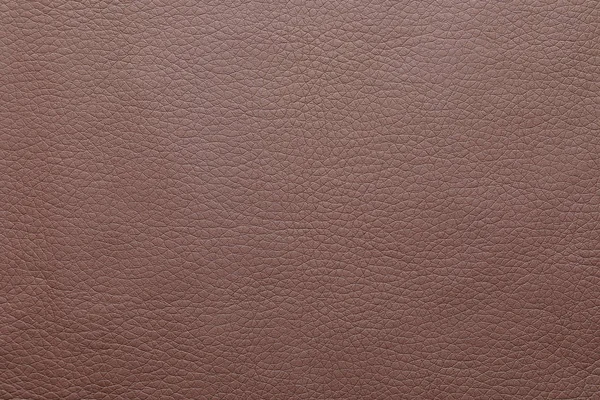 Texture Brown Leather Background Closeup — 스톡 사진