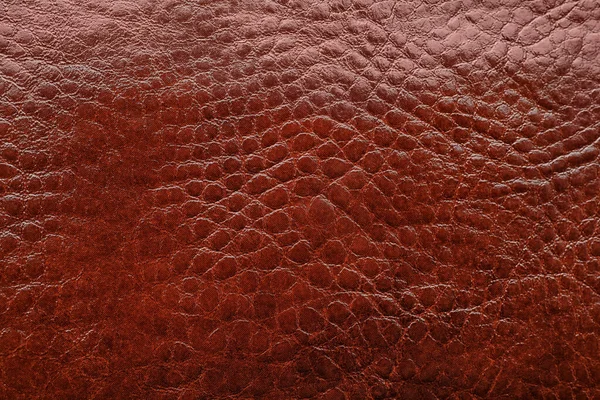 Texture Cuir Marron Comme Fond Gros Plan — Photo